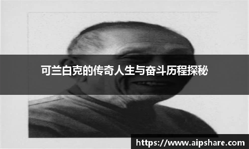 678体育直播平台